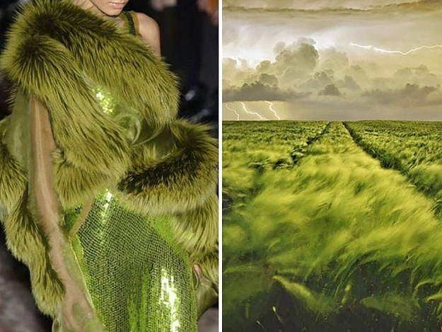 Tudatosság vagy divat