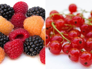 Flavonoidok a természetben