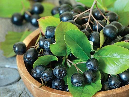 Flavon Max összetevői - 5 alap termék