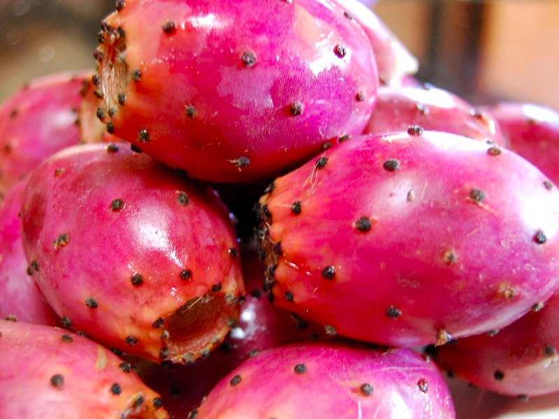 Flavon Max összetevői - 5 alap termék