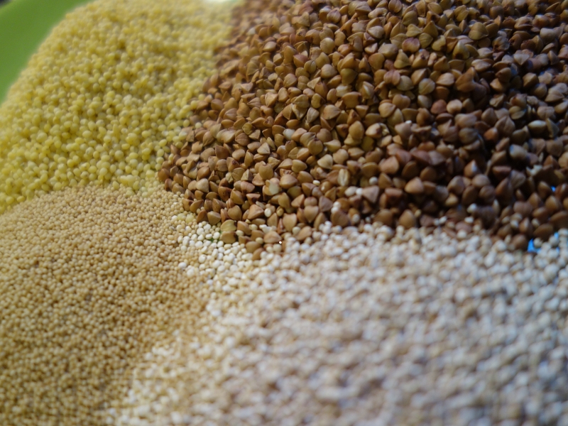 Ételeink és betegségeink Ételeink és betegségeink