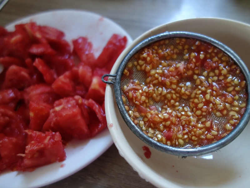 Paradicsomtörténet