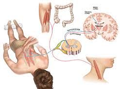 Hogyan segít a Bowen terápia?